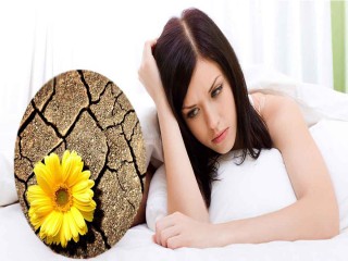 Fémi pause: Bí quyết chấm dứt khô hạn và đau “khi yêu” ở phụ nữ mãn kinh
